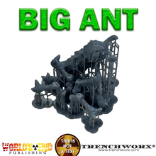 Load image into Gallery viewer, Big Ant Encounter