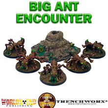 Load image into Gallery viewer, Big Ant Encounter