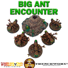 Load image into Gallery viewer, Big Ant Encounter