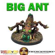 Load image into Gallery viewer, Big Ant