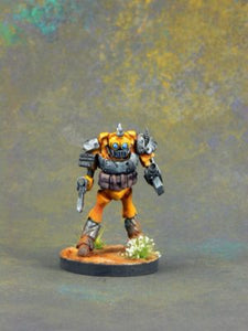 Raider Robot