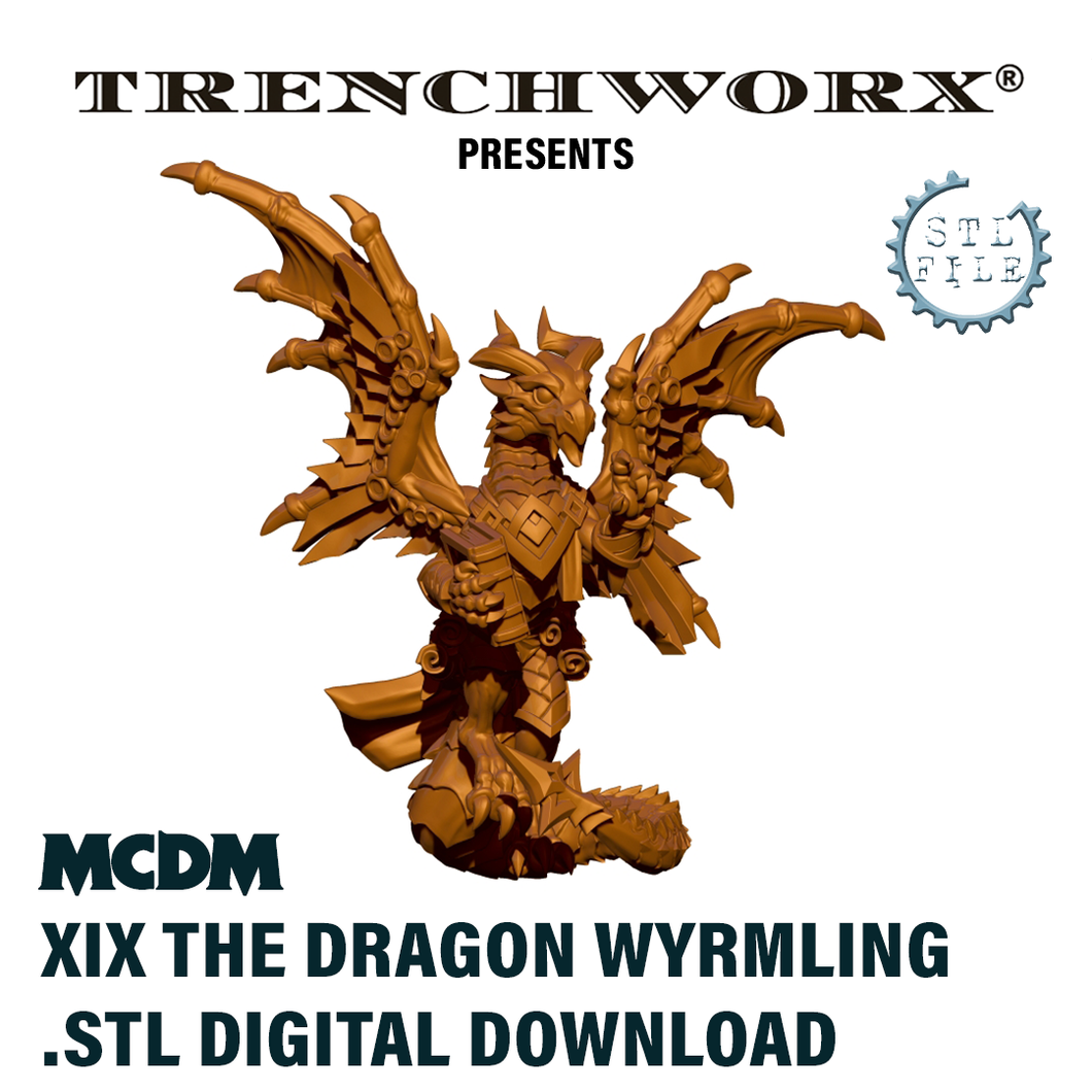 MCDM - Xix The Dragon Wyrmling .STL Digital Download