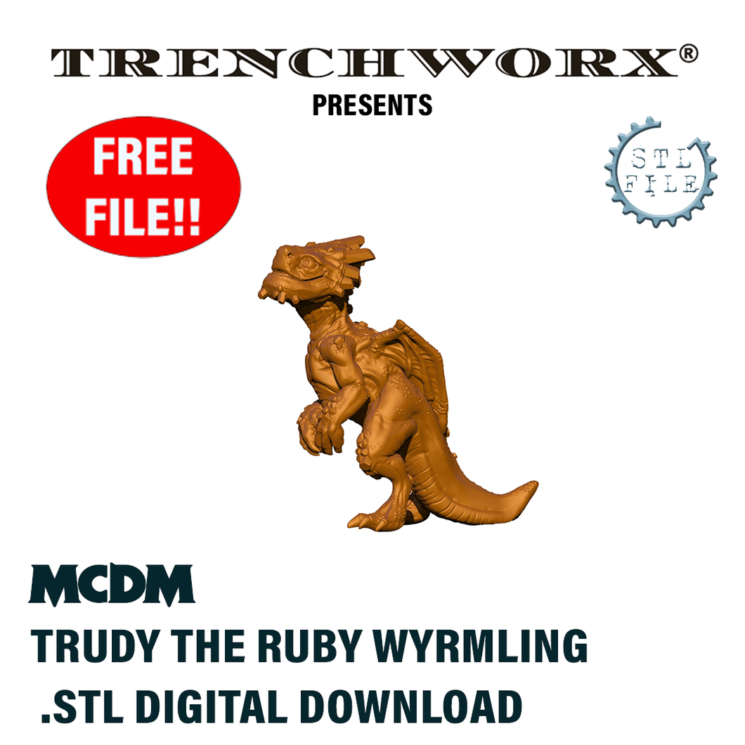 MCDM - Trudy, The Ruby Dragon Wyrmling, .STL Digital Download