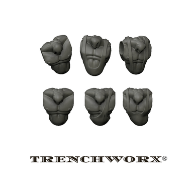 LuchaDOrx Torsos (X6)