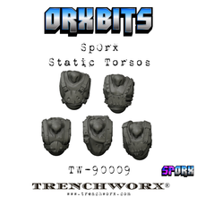 Load image into Gallery viewer, SpOrx Static Torsos (X5)